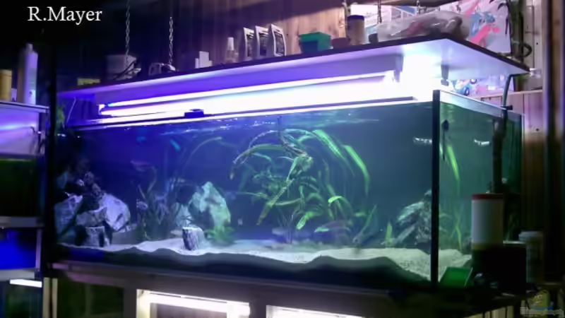 Gesamtansicht Gesamtansicht