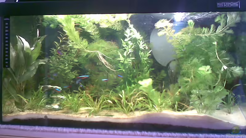 Gesamtansicht Gesamtansicht