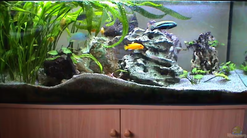 Gesamtansicht Gesamtansicht