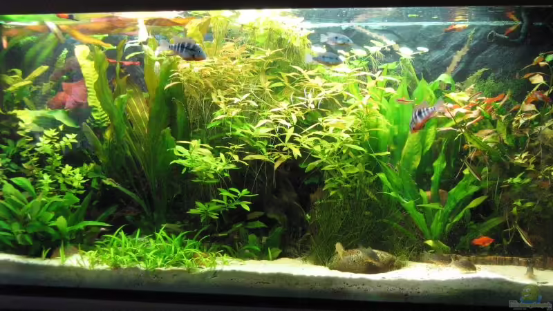 Gesamtansicht Gesamtansicht