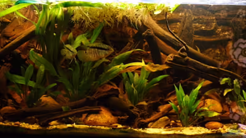 Gesamtansicht Gesamtansicht