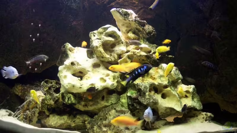 Gesamtansicht Gesamtansicht