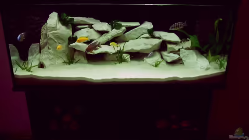 Gesamtansicht Gesamtansicht