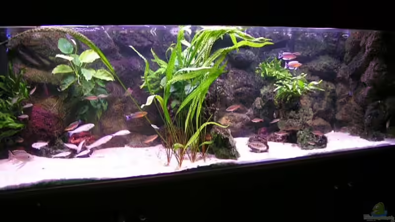 Gesamtansicht Gesamtansicht