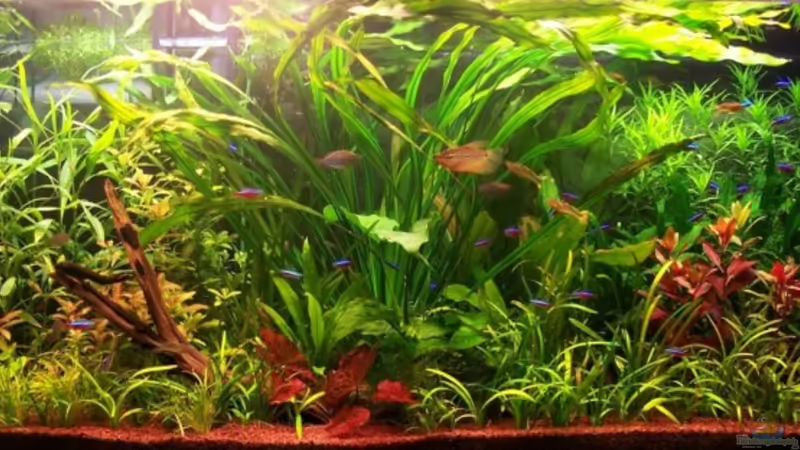 Gesamtansicht Gesamtansicht