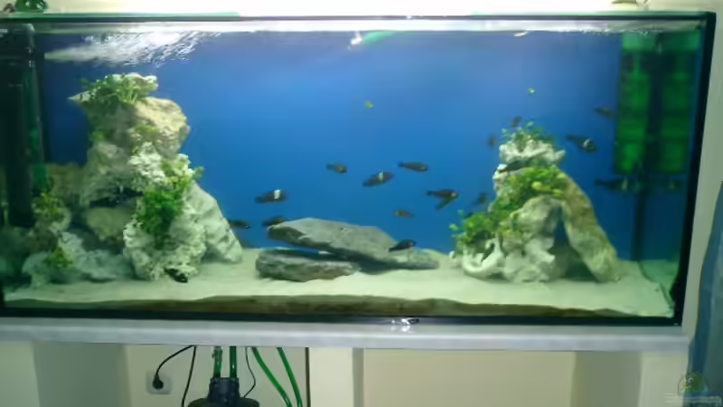 Gesamtansicht Gesamtansicht