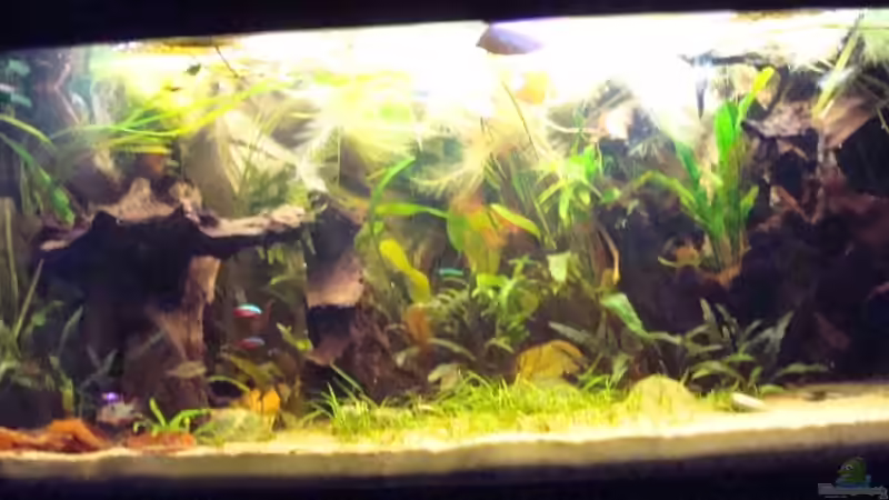 gesamtansicht gesamtansicht