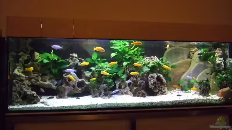 Gesamtansicht Gesamtansicht