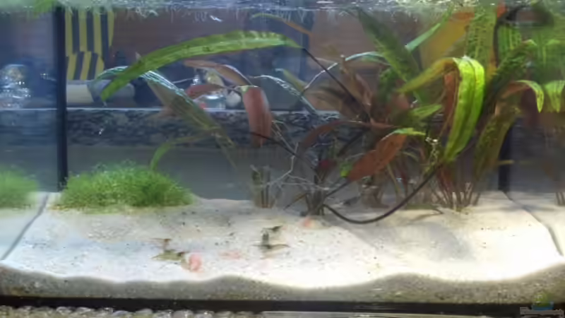 Gesamtansicht Gesamtansicht