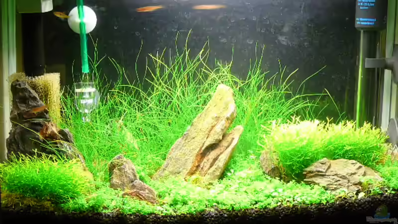 Gesamtansicht Gesamtansicht