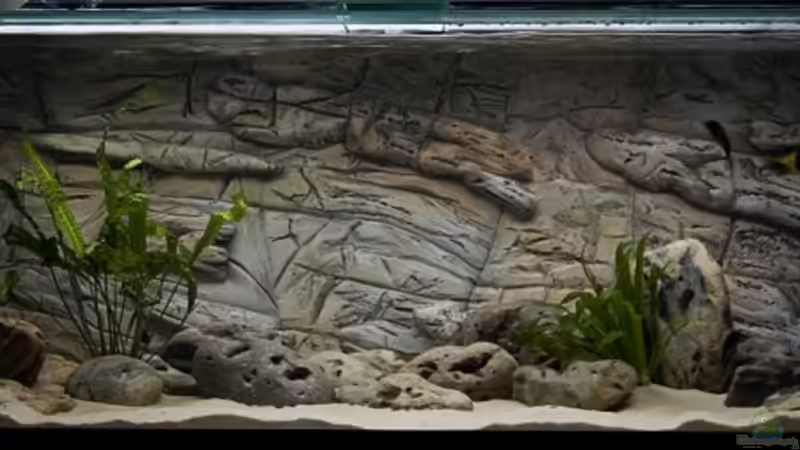 Gesamtansicht Gesamtansicht