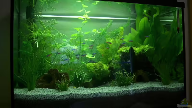 Gesamtansicht Gesamtansicht