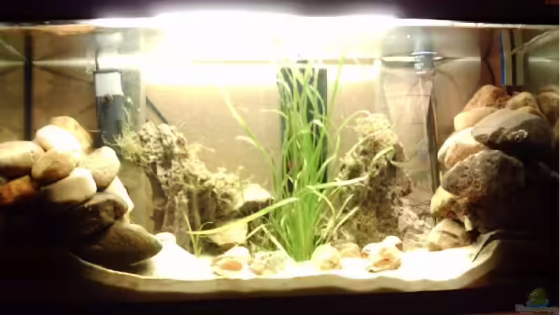 Gesamtbecken Gesamtbecken