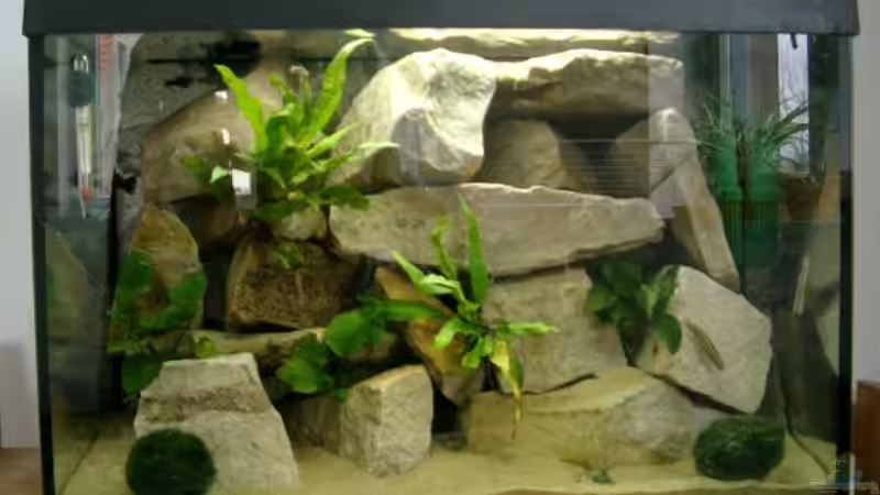 Gesamtbild von vorne Gesamtbild von vorne