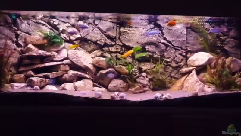 Gesamtbild Gesamtbild