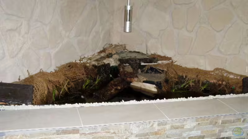 Gesamter Teich Gesamter Teich