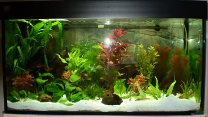 Geschaft!!!:O) Geschaft!!!:O)