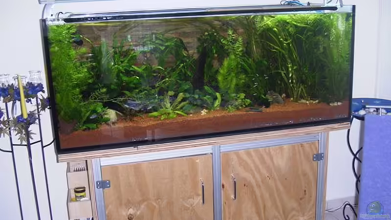 Gesellschafts-Süd-Amerika-Becken Gesellschafts-Süd-Amerika-Becken