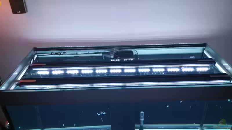 GHL-Profilux und Mitras Lightbar: Ein unschlagbares Duo?