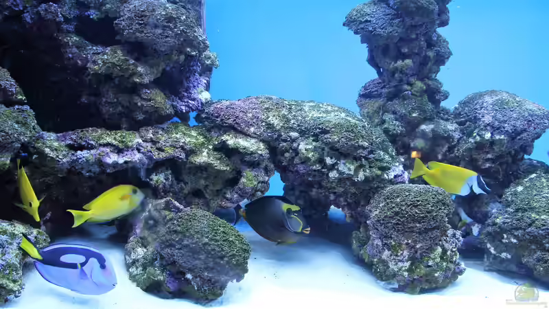 Glück hinter Glas - das Aquarium für Naturbeobachtungen