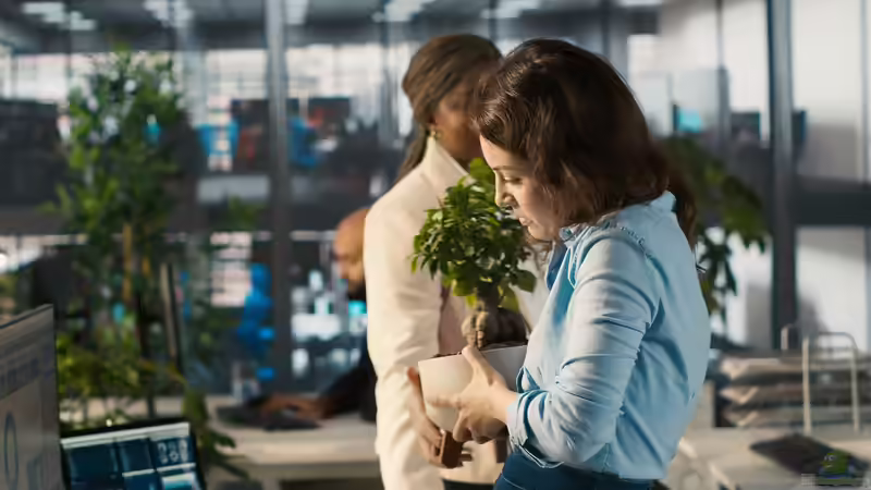 Grüner werden: Wege für Unternehmen zu mehr Nachhaltigkeit