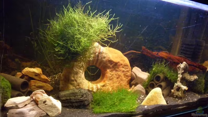 grünes moosiges Wohnzimmer grünes moosiges Wohnzimmer