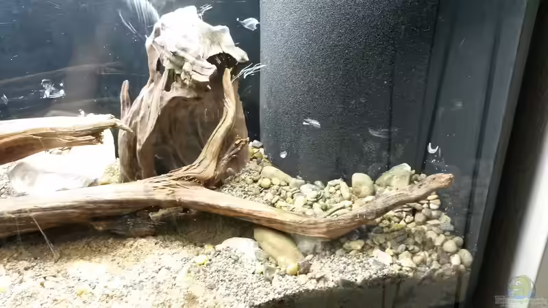 Hamburger Mattenfilter: Eigenbau oder gekauft?