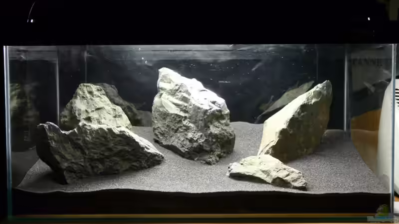 Hardscape vom 27.02.2010 Hardscape vom 27.02.2010