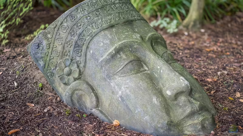 Harmonie im Terrarium: Gestaltung nach Feng Shui