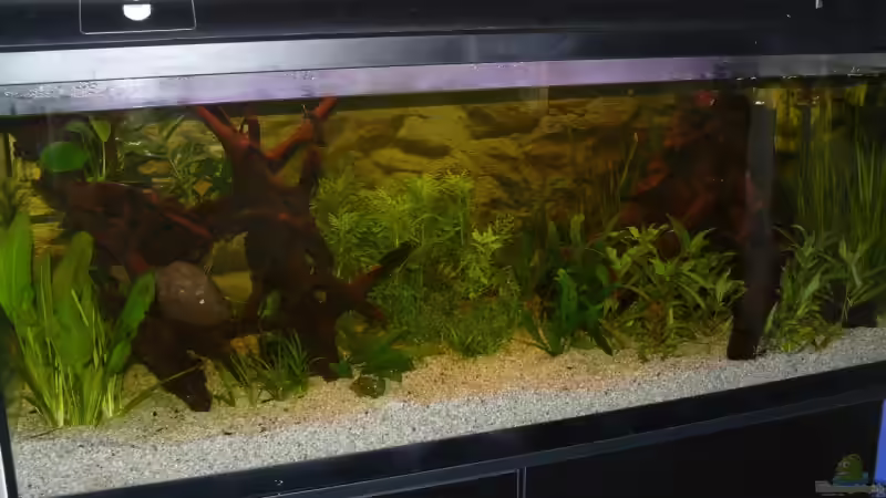 Hatte noch keine Zeit für gute Bilder.... Ist nur für den ersten Eindruck ^^ Hatte noch keine Zeit für gute Bilder.... Ist nur für den ersten Eindruck ^^