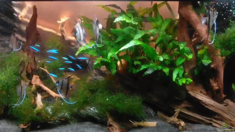 Haupt bild 13.11.17 Haupt bild 13.11.17