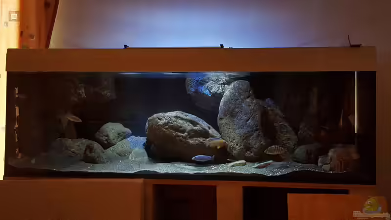 Hauptansicht - 06.07.2015 Hauptansicht - 06.07.2015