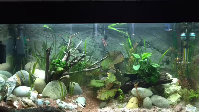 Hauptansicht Hauptansicht