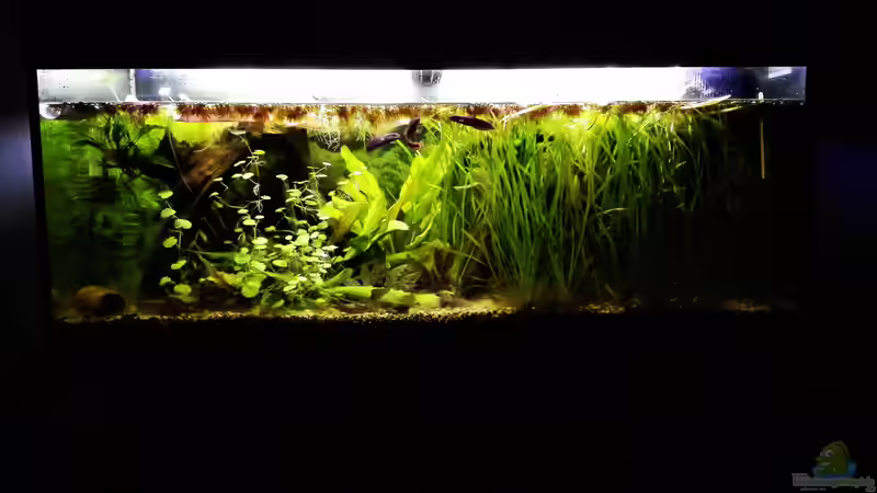 Hauptansicht 02.07.17 Hauptansicht 02.07.17