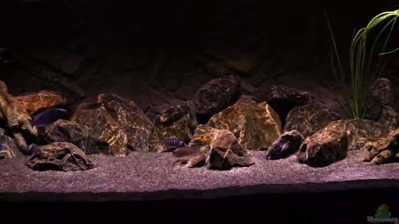 Hauptansicht 13.01.2012 Hauptansicht 13.01.2012