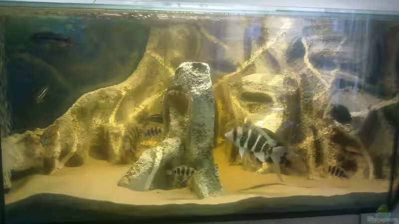 Hauptansicht 700l Hauptansicht 700l