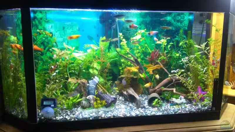 Hauptansicht aus dem Wohnzimmer Hauptansicht aus dem Wohnzimmer