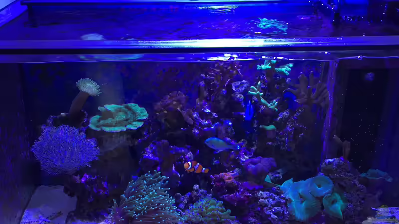 Hauptansicht Becken Hauptansicht Becken