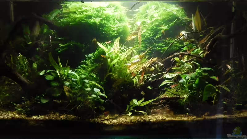 Hauptansicht im September 2015 Hauptansicht im September 2015