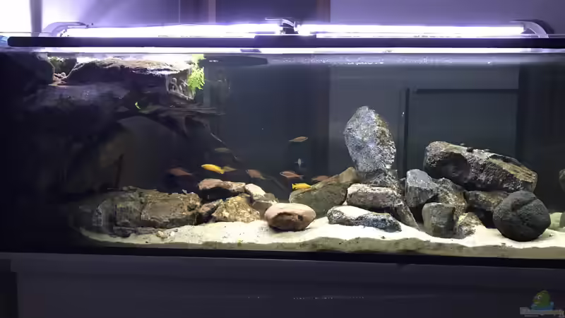 Hauptansicht von Tanganjika Raumteiler //1 Hauptansicht von Tanganjika Raumteiler //1