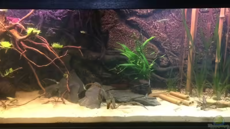 Hauptansicht von Thailändischer Bachlauf Hauptansicht von Thailändischer Bachlauf