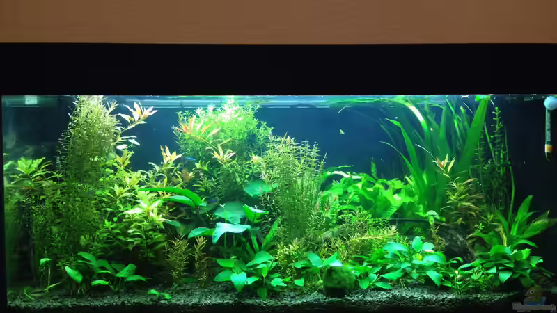 Hauptansicht von vorne Hauptansicht von vorne