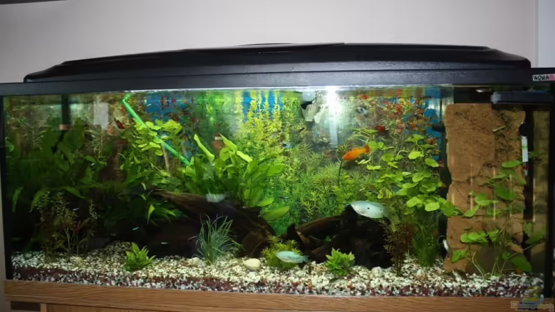 Hauptansicht Hauptansicht