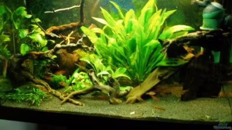 Hauptansicht Hauptansicht