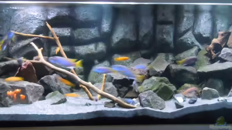 Hauptansicht Hauptansicht