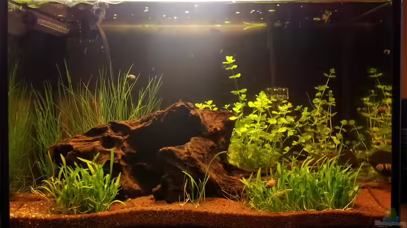 Hauptansicht Hauptansicht