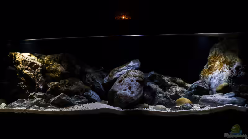 Hauptansicht Hauptansicht