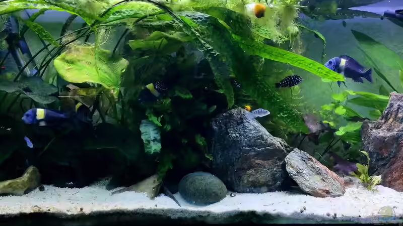 Hauptansicht Hauptansicht