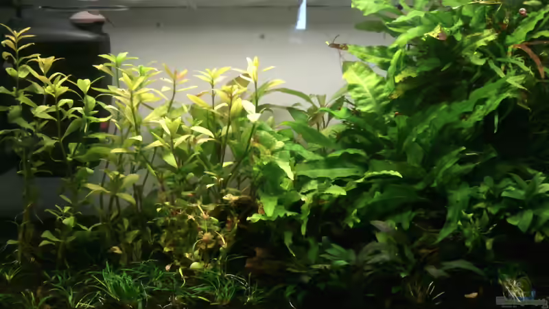 Hauptansicht Hauptansicht