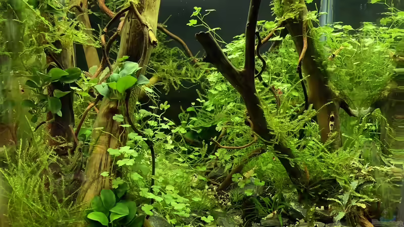 Hauptansicht Hauptansicht